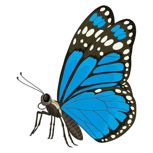 Butterfly Theme Blue Side View Butterfly Transparent Sticker
